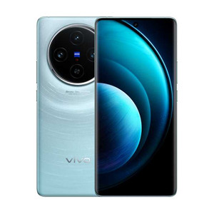 Vivo X100